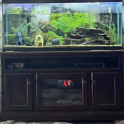 FISH or REPTILE TANK - 90 Gallons