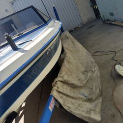 Boat Detail And RV 