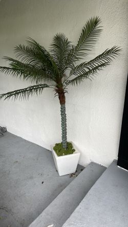 Two fake palm trees
