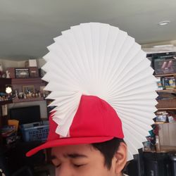 Brandnew Mohawk Hats, Different Colors Available While Supply Last. $5 Each