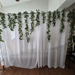 Photo Backdrop With Ivy
