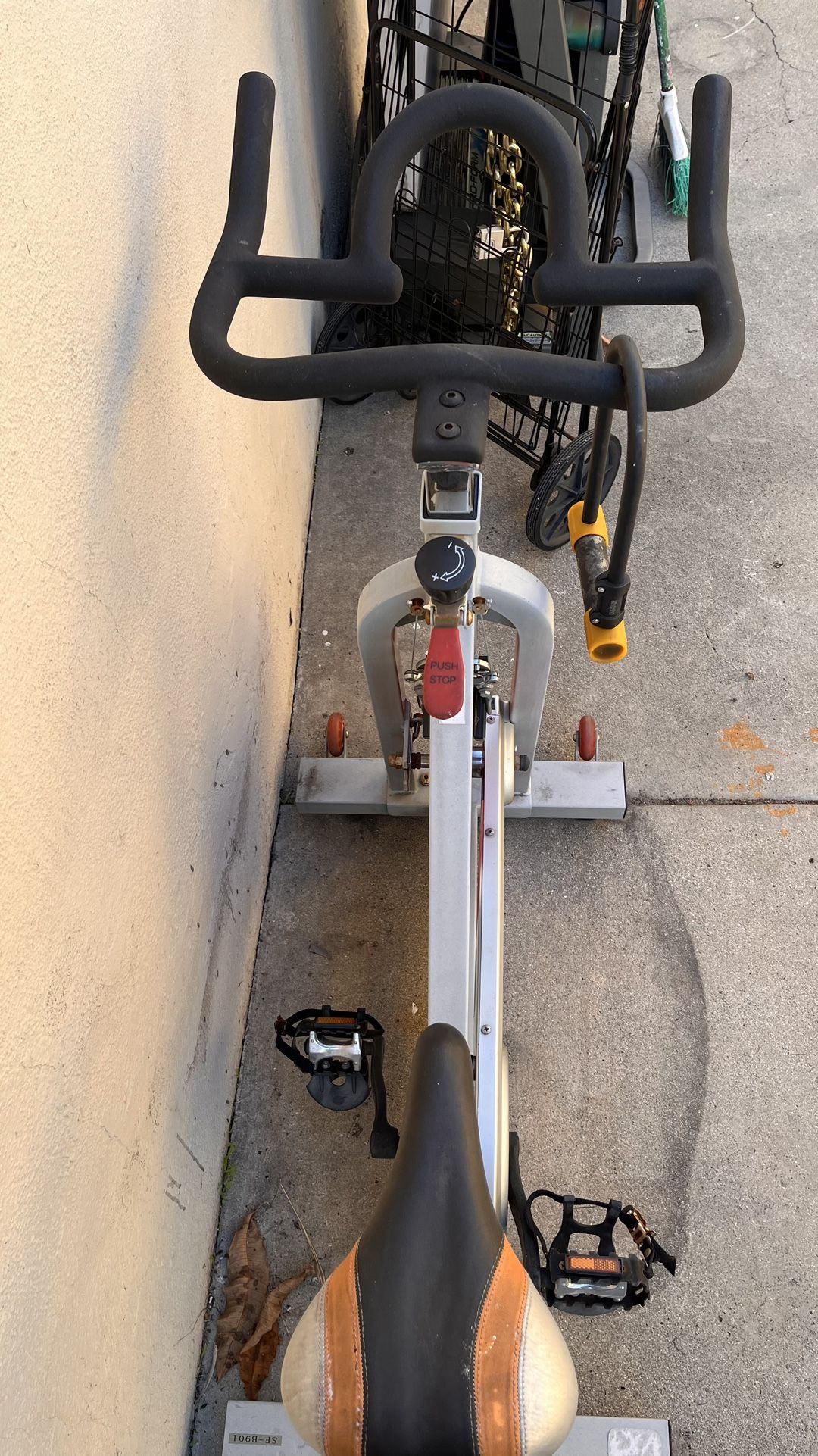 sunny stationary bike reviews