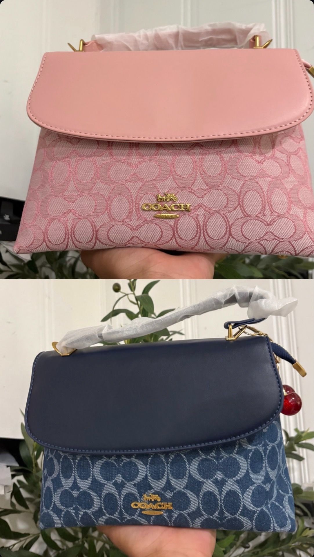 Coach Purses