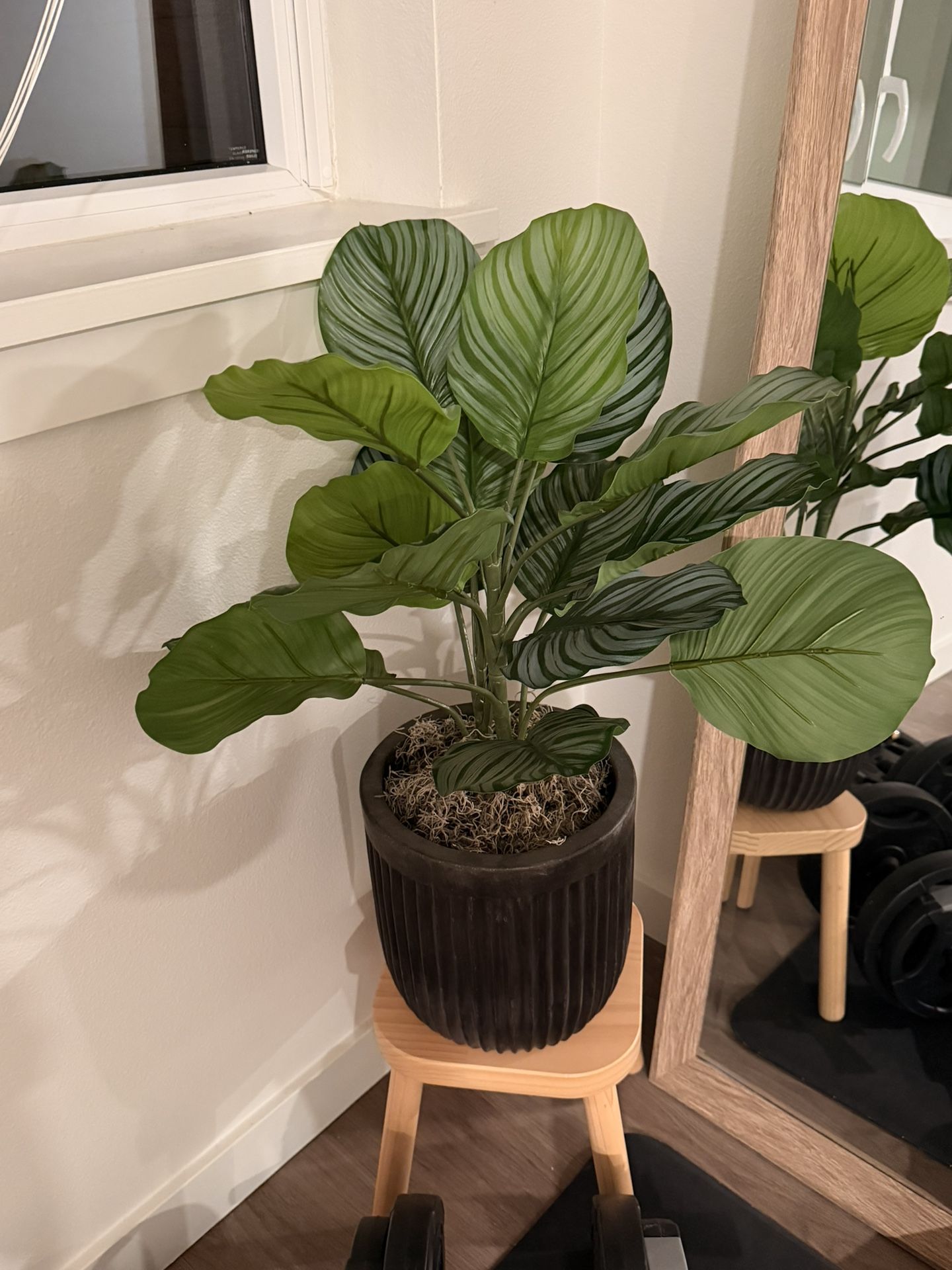 **Moving Sale** Fake Plant **Make Offer**
