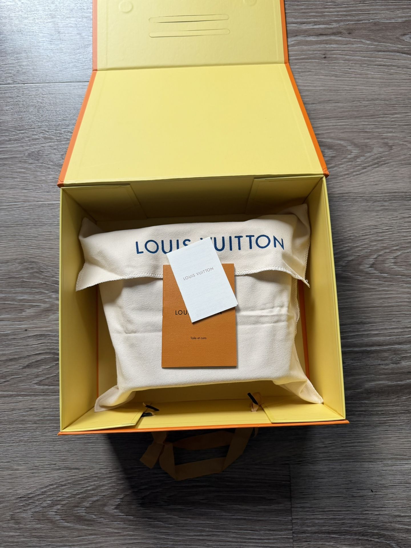 Louis Vuitton Reversible Bag