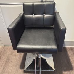 Salon Hair Chair 