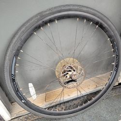 700 Speed Bike Rear Rim/tire
