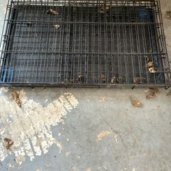 Large Dog Cage