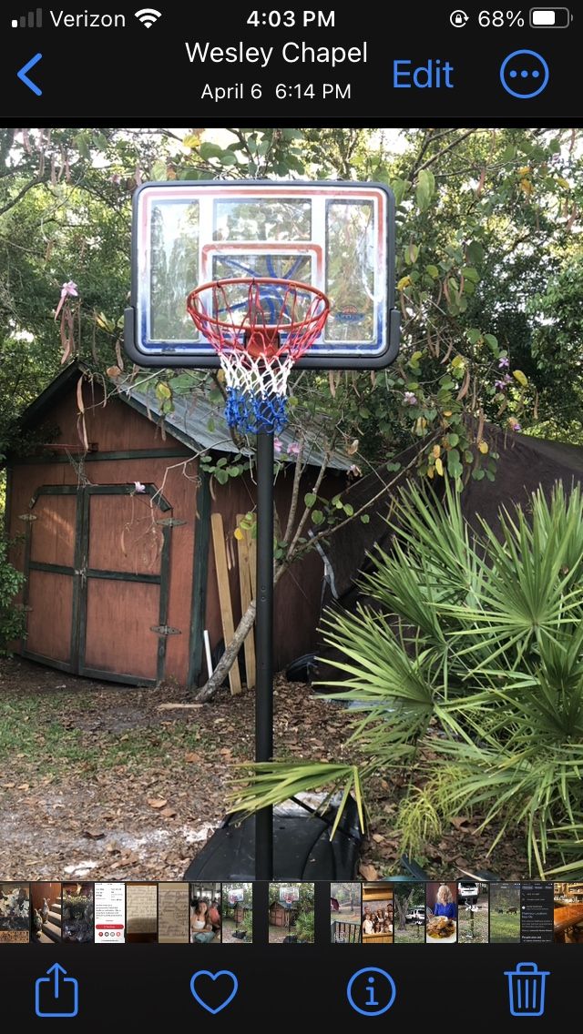 Lifetime Portable Adjustable Basketball Hoop