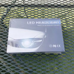 LED Headlight Fog Light Bulbs 