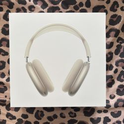 Apple Airpod Max Starlight Colorway