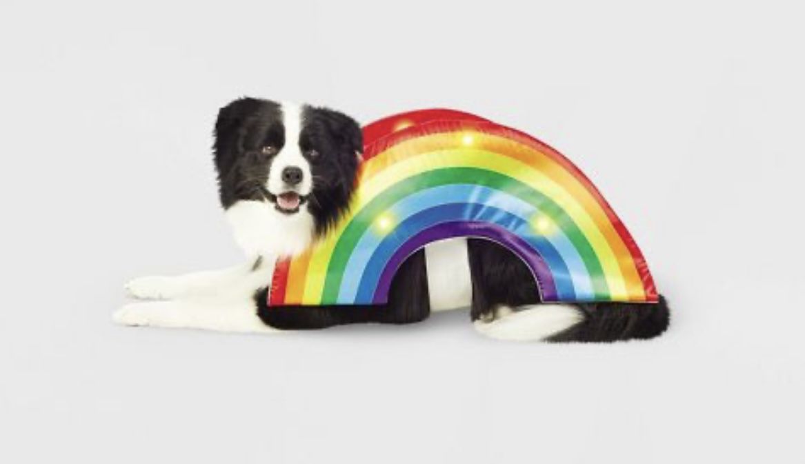 LED Rainbow Soft Brights Dog And Cat Costume - Hyde & EEK! Boutique Medium