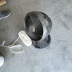 Fans 