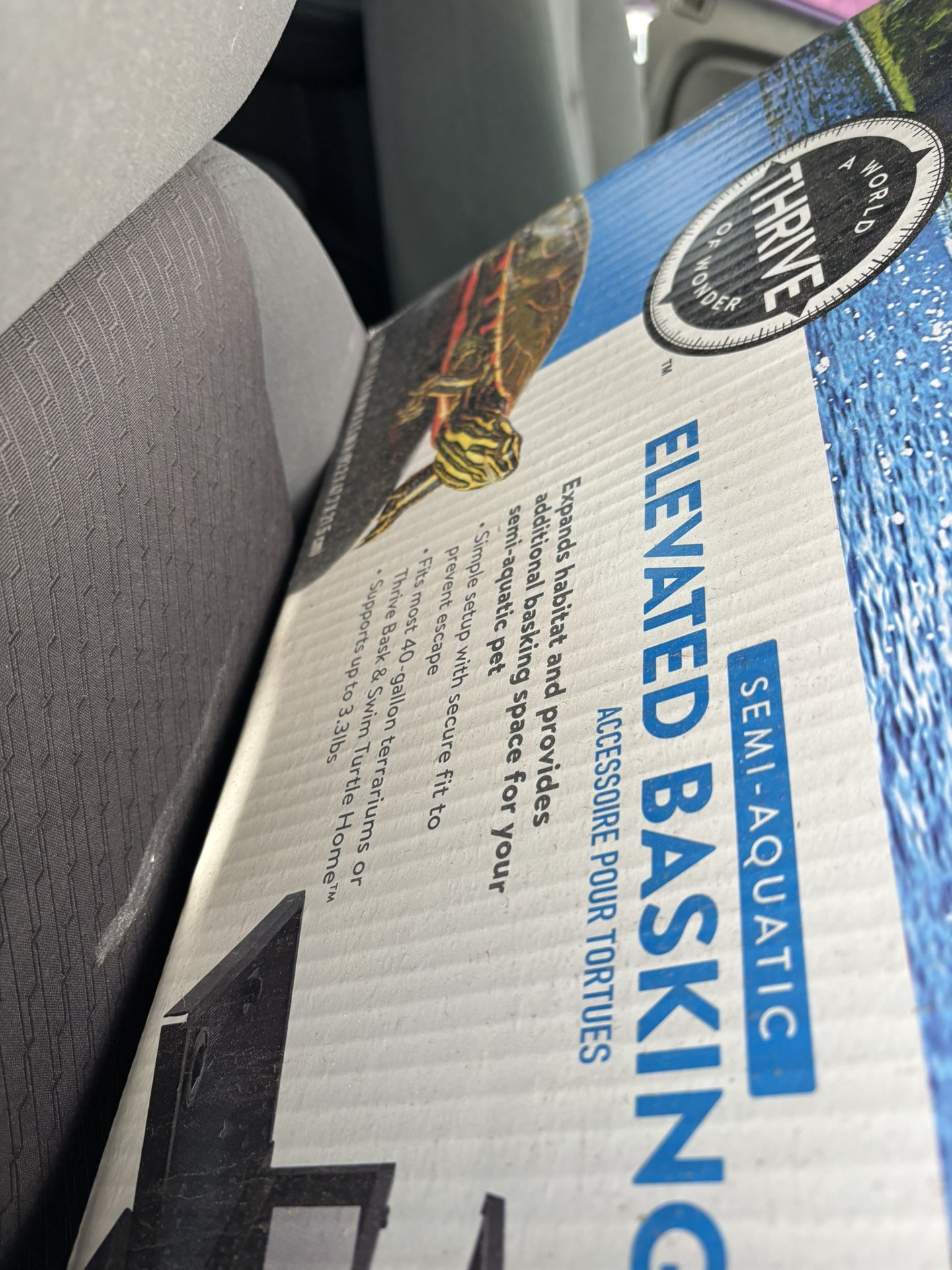 Fish, Bird, Big Dog Kennel