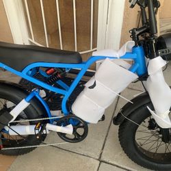  EW BLUVALL ELECTRIC BIKE