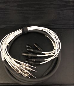 8 Channel Snake 10 Feet Long with 1/4 inch TRS to XLR Male