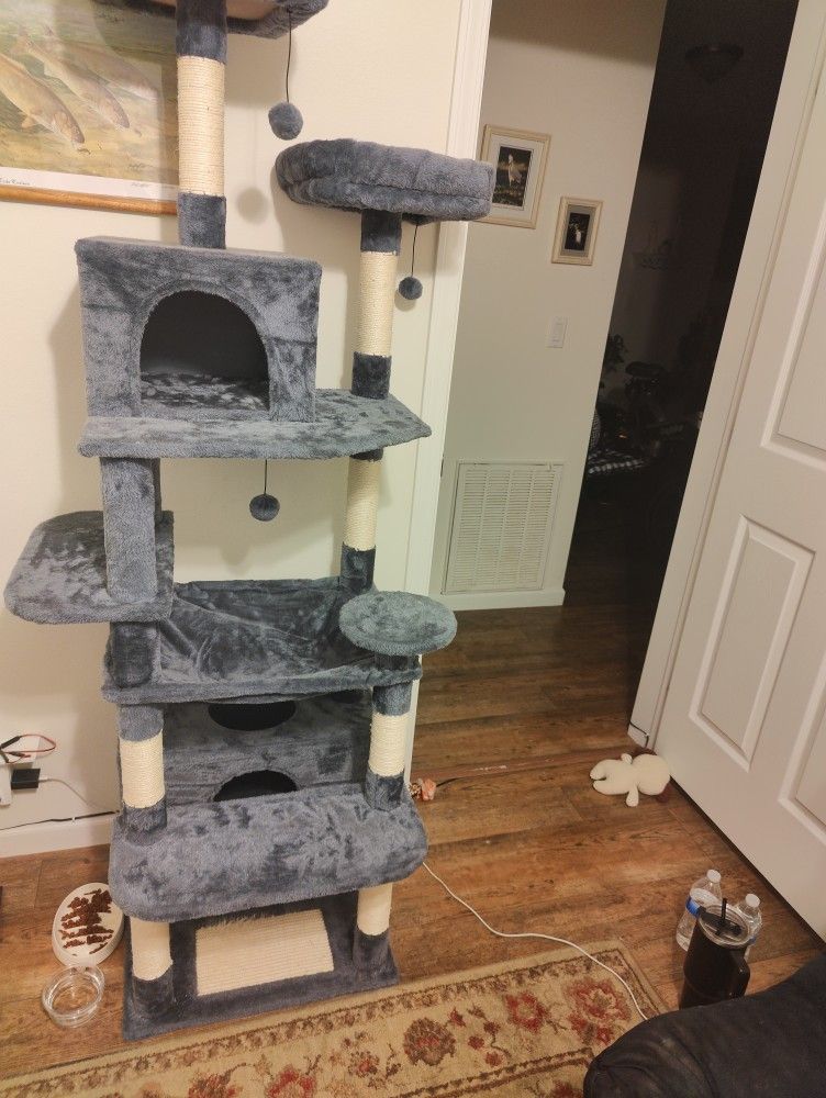 Cat Condo