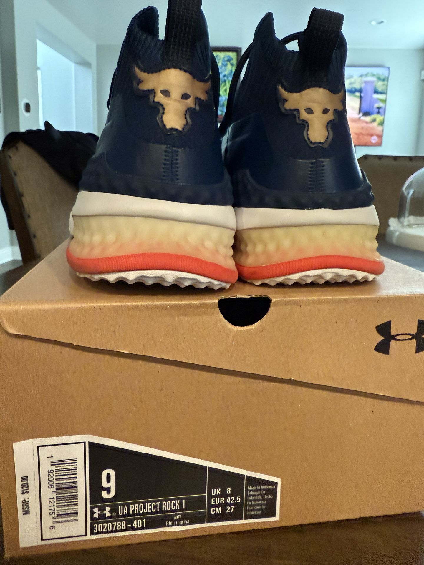 Project Rock 1 Shoes