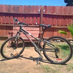 INFINITY CRAZY HORSE HT24 YOUTH BIKE 
