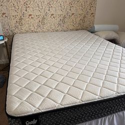 Sealy Queen Mattress Box Spring and Metal Frame 