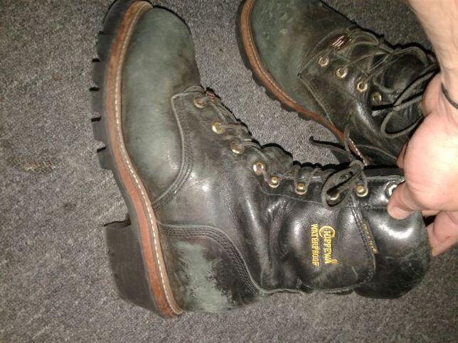 Chippewa super logger 2541 sale