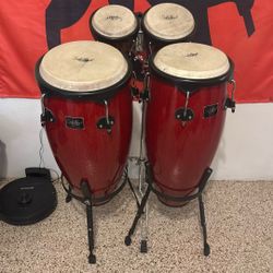 Bongos /congas 