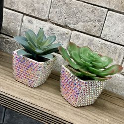 Bling Succulent Decor