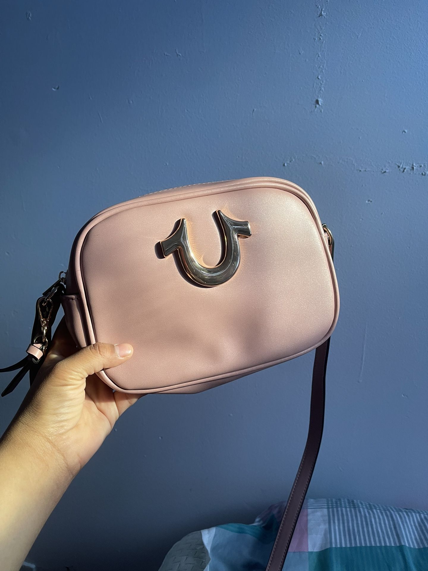 True Religion Purse