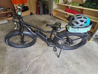 EWheels BAM-Nomad 750W Fat Tire Cruise