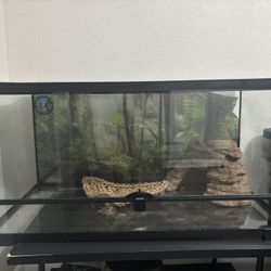 20 Gallon Reptile Enclosure With Accessories