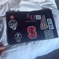 Gaming Laptop MSI GE75 Raider 