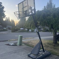 Free Basketball Hoop Puyallup 