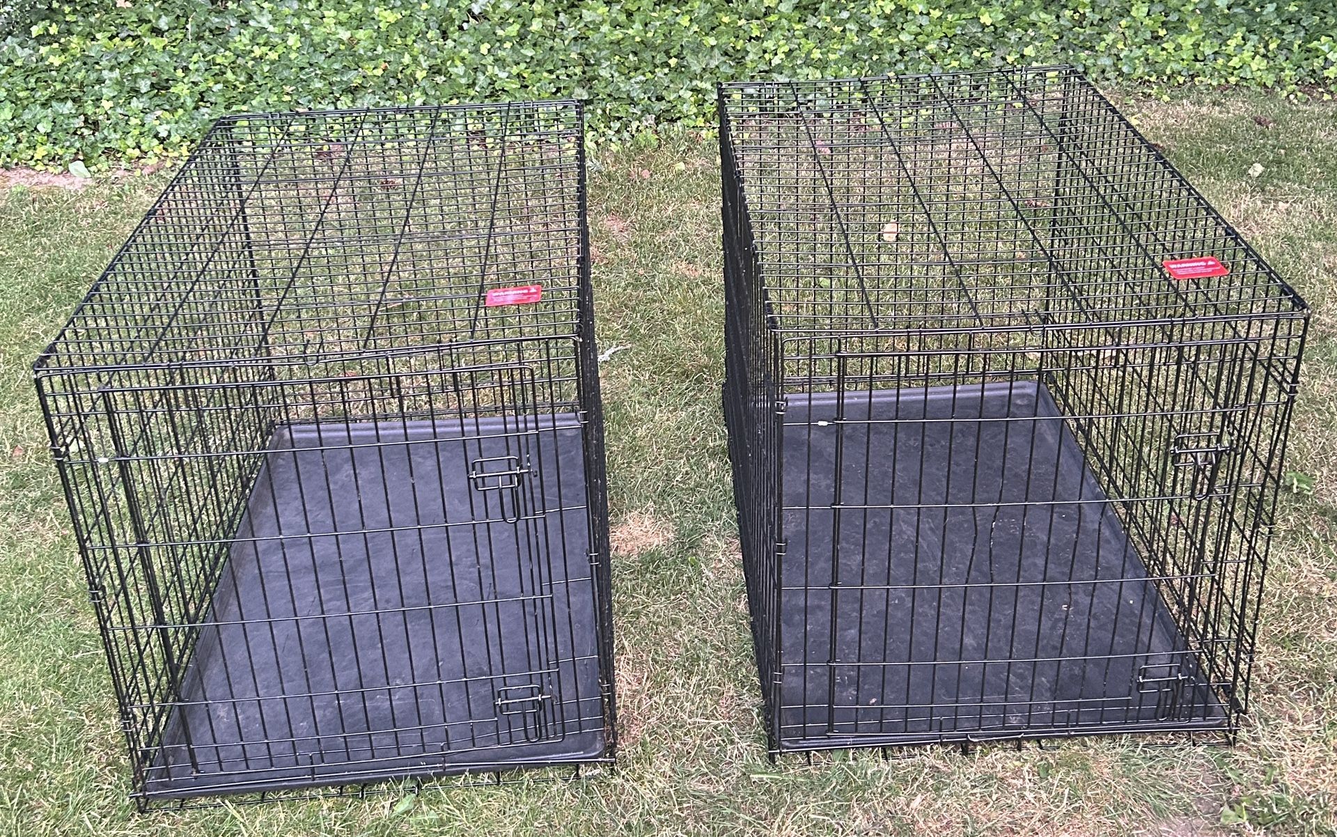 Extra Large Dog Kennels