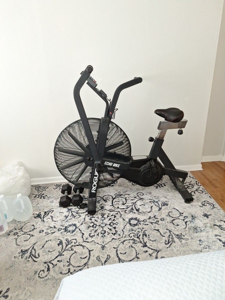 Rogue Echo Bike 2.0 + Set Of 20lb Dumbbells