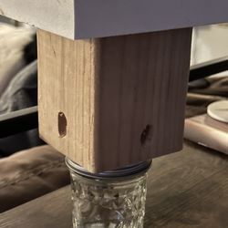 Carpenter Bee Traps