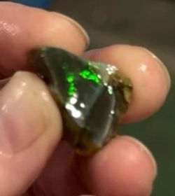 Rare black opal