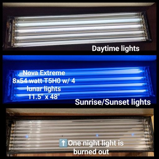 Aquarium Lights And Other Fish Tank Supplies