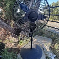 Standing Fan 