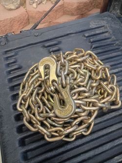 Twenty foot Chains with grab hooks on both ends