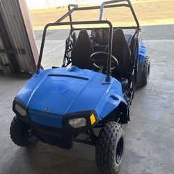 2015 Kids Polaris RZR 170