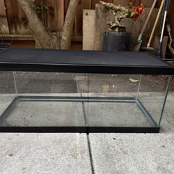 20 Gallon Long Tank / Terrarium