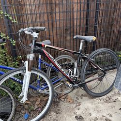 Schwinn OR2 700c  Bike bicycle bicicleta
