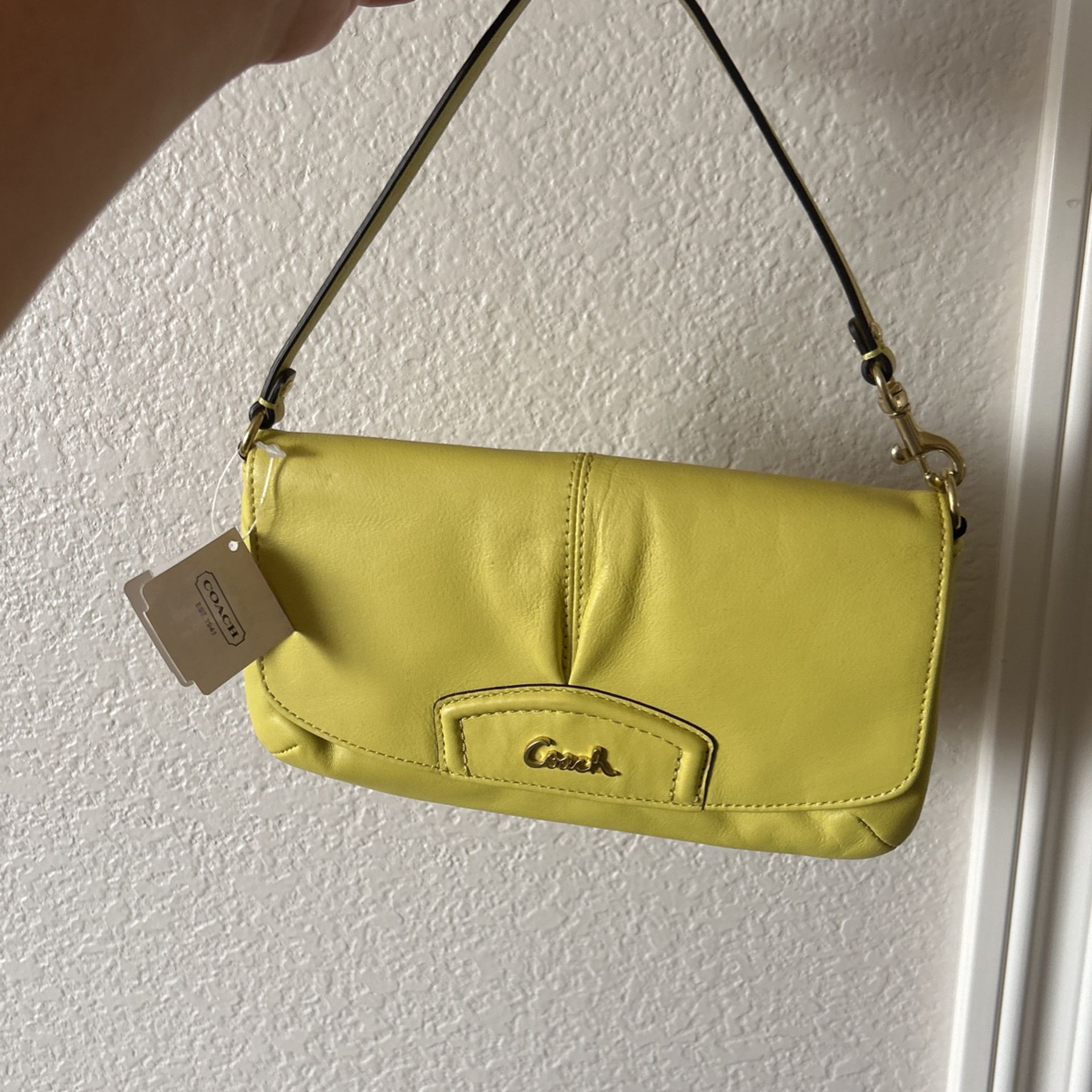 Coach mini purse