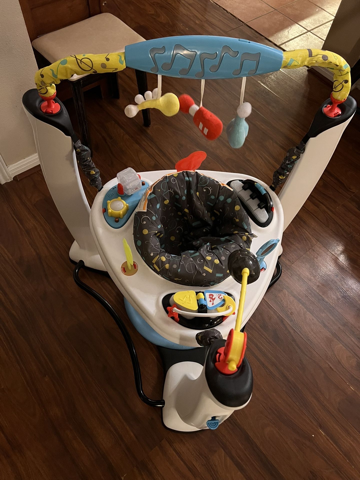 Bouncer/Activity Center