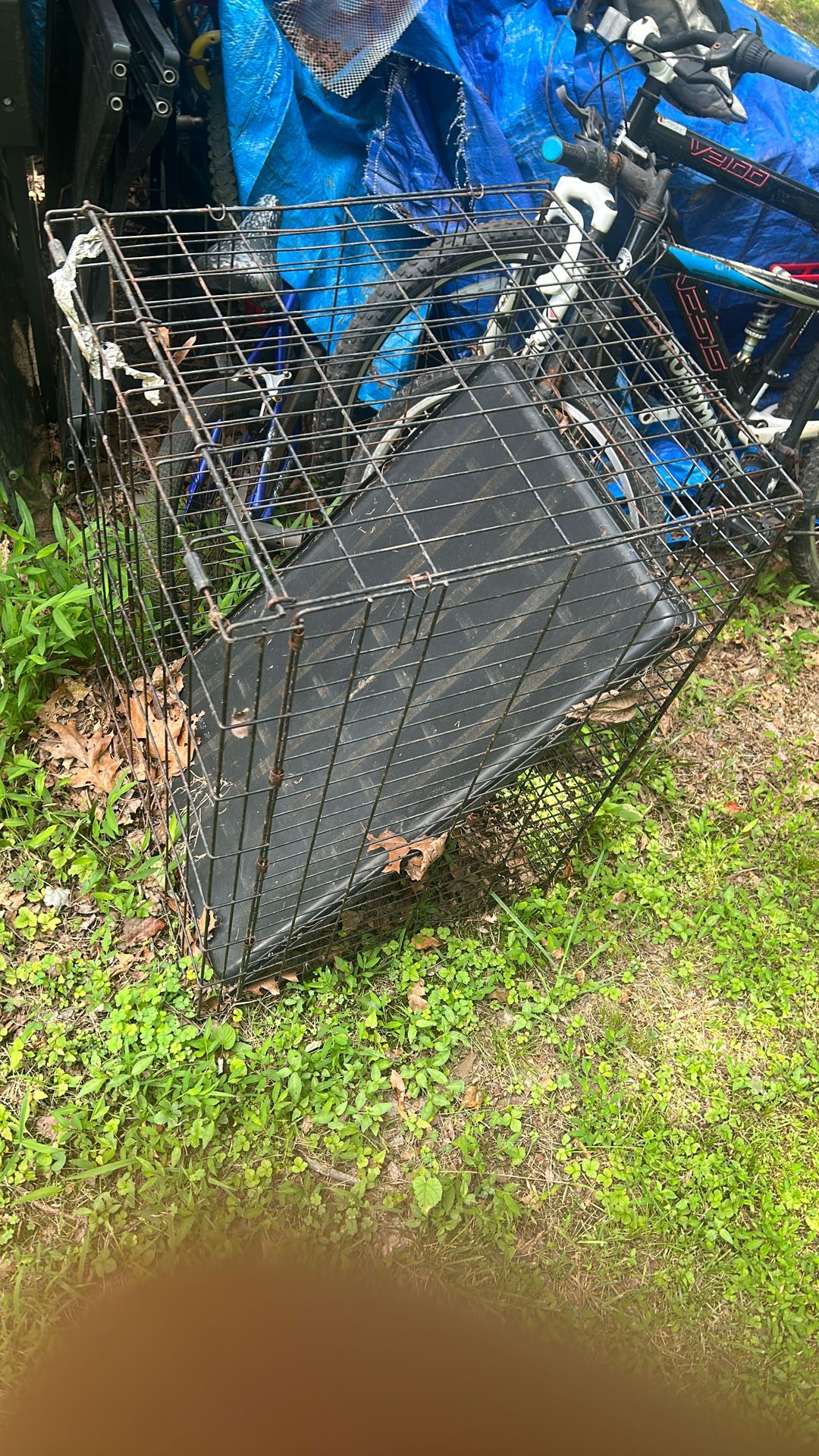 medium size dog crate