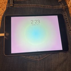 iPad Mini