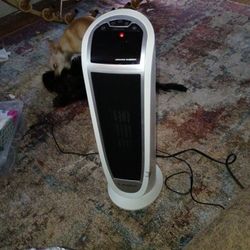 New Heater With Remote