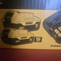 Kit Batteries And Charger  5ah 