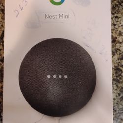 Google Nest Mini