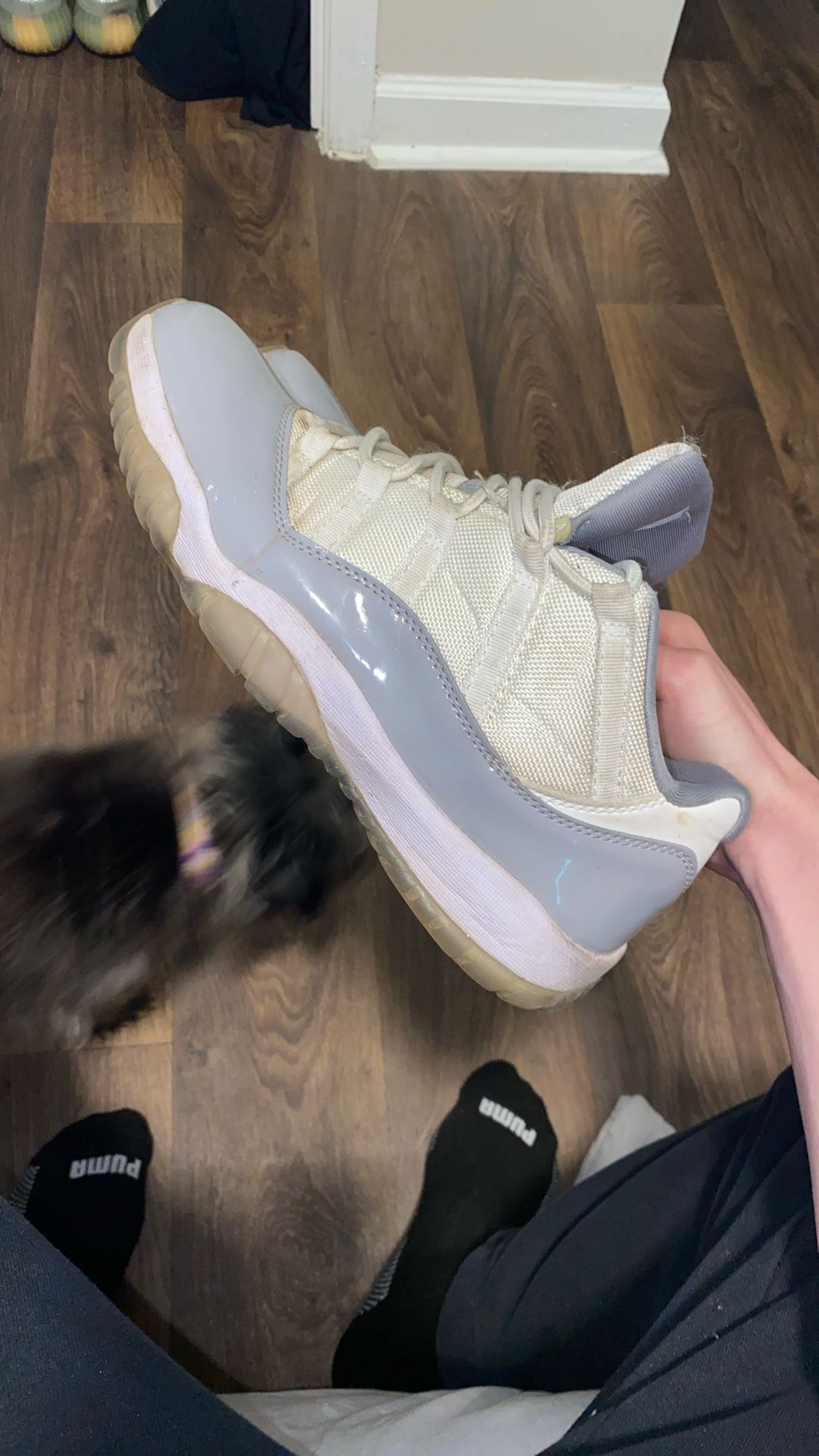 Jordan 11 Low